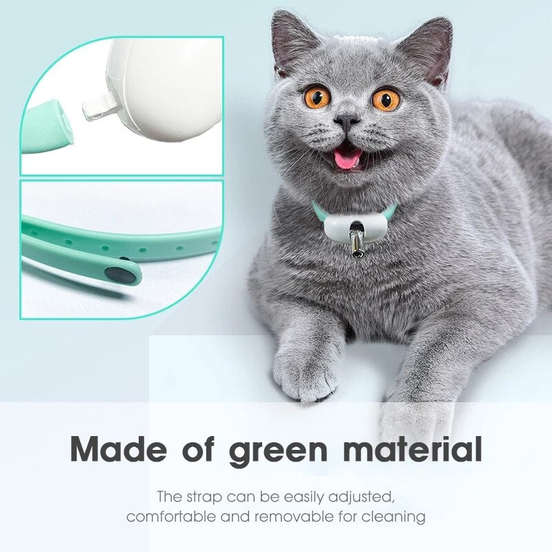 LASER COLLAR CAT TOY