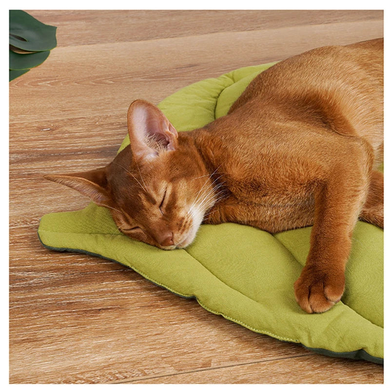 30 X 20 Inch Leaf Shaped Cotton Cat Bed Pad