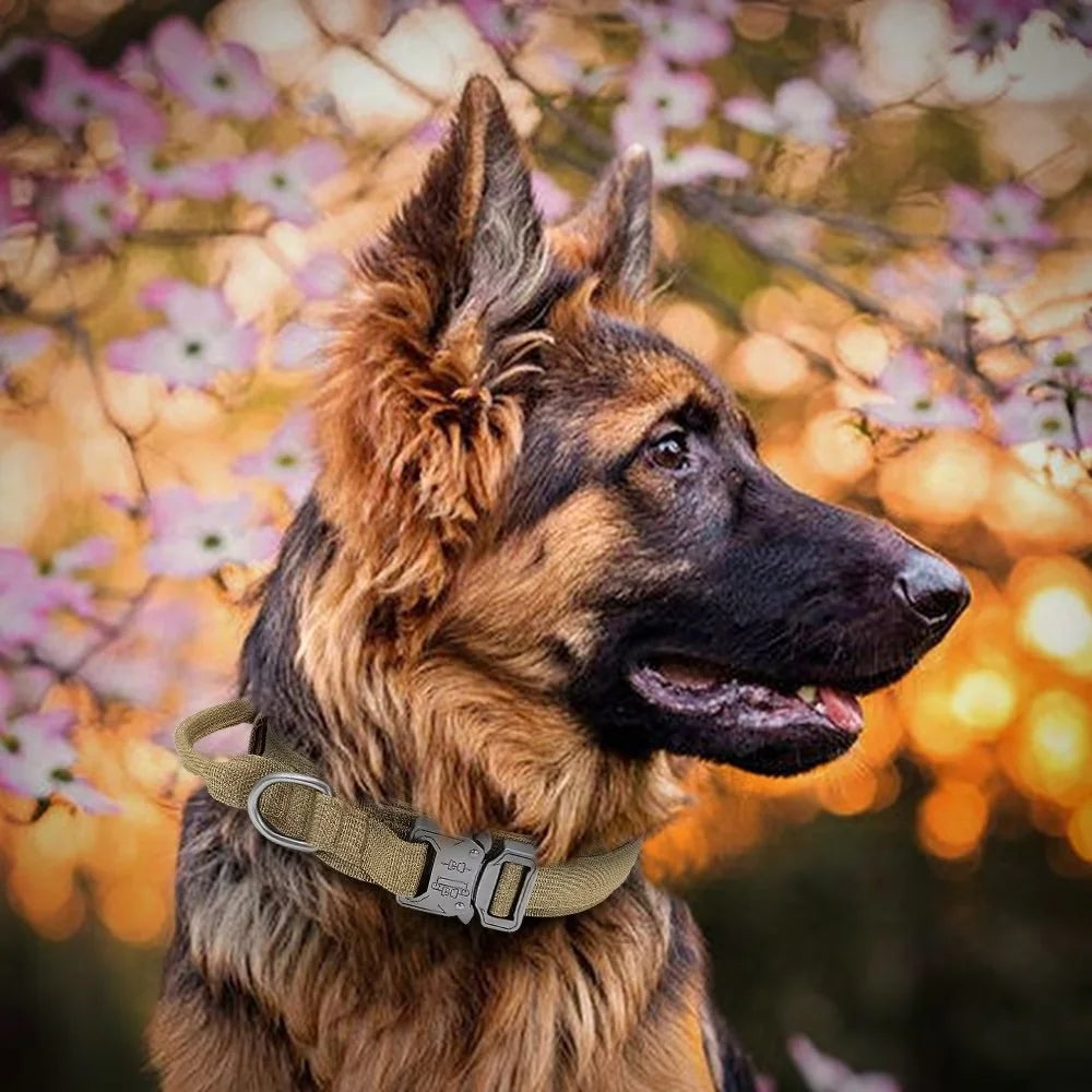 Tactical Dog Adjustable Collar