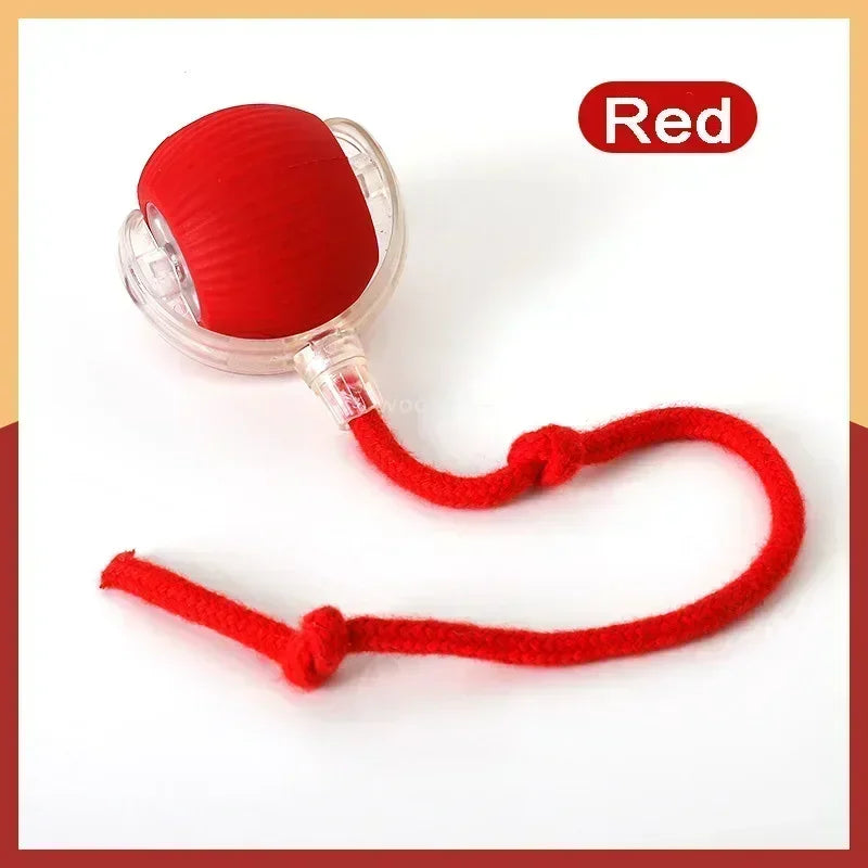 Interactive Dog Cat Ball, Active Rolling Ball for Dogs, Cat Toys Rolling Ball, Smart Interactive Dog Toys, Electric Cat Toy Ball Rechargeable