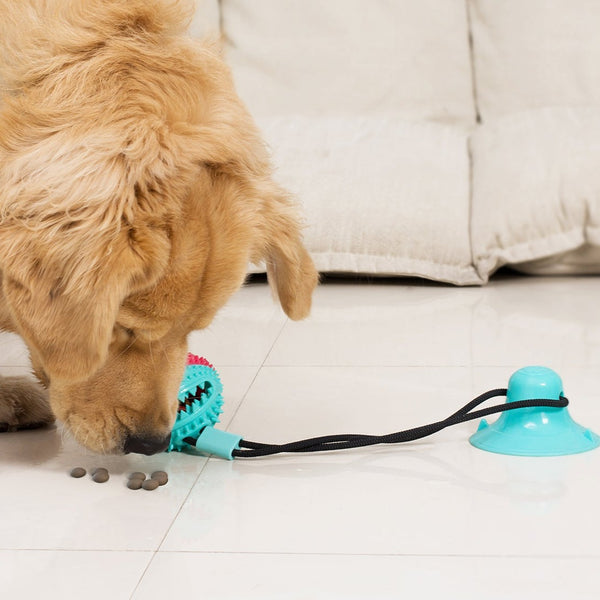 Dog Toys Silicon Suction Cup