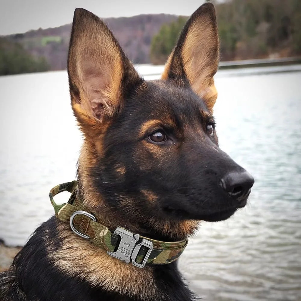Tactical Dog Adjustable Collar
