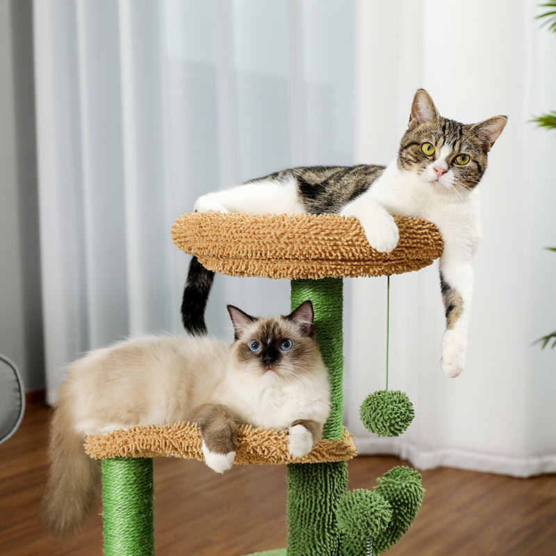 MODERN CACTUS CAT TREE HOUSE