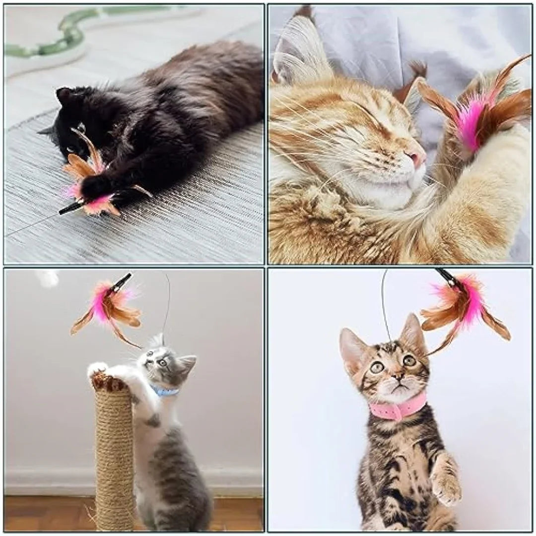Cat Collar Toy, New Premium Teasing Wand with Colorful Natural Feathers and Bell, Lightweight Silicone for Extra Comfort, Interactive Self Playing Toys for Indoor Kittens