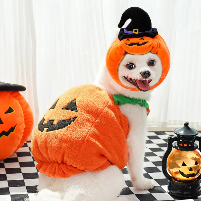 Pet Pumpkin Costume, Dog Funny Halloween Hat Cloth Suit, Adjustabe Cosplay Party Apparel for Cat Kitten Puppy