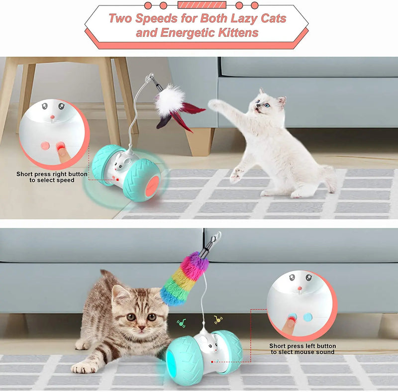 Automatic Interactive Cat Toys: Electronic Kitten Play with Mouse and Feathers