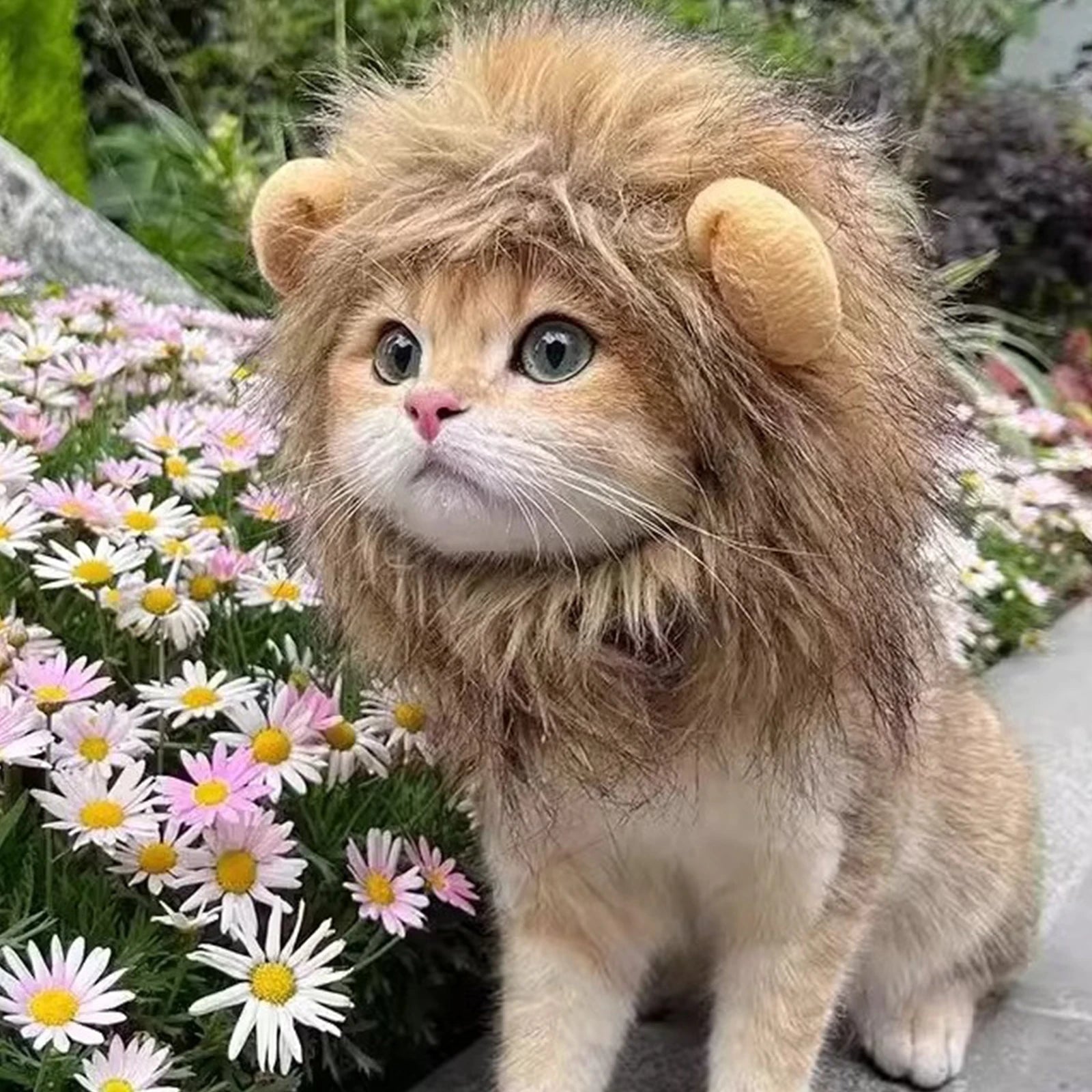 Lion Mane Cat Wig – Funny Cat Halloween Costume | Adjustable Pet Costume for Cats & Small Dogs, Cosplay & Party Outfit