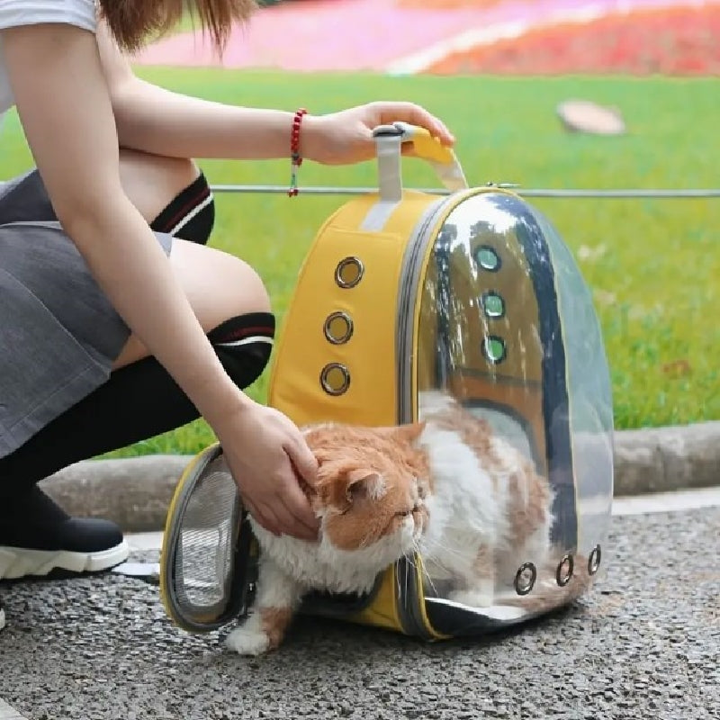 Astronaut Window Pet Carrier