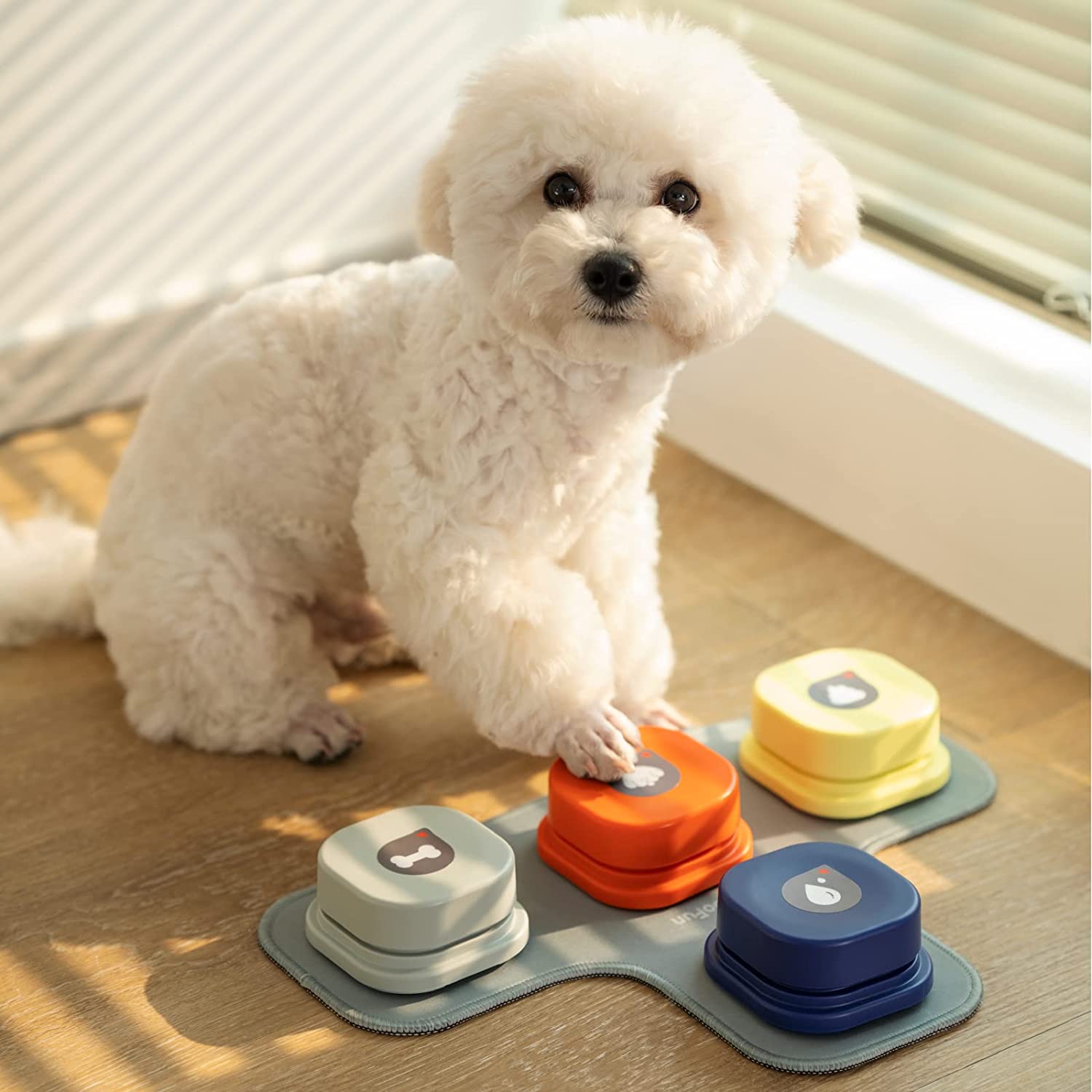 Communication Training Interactive Dog Toy