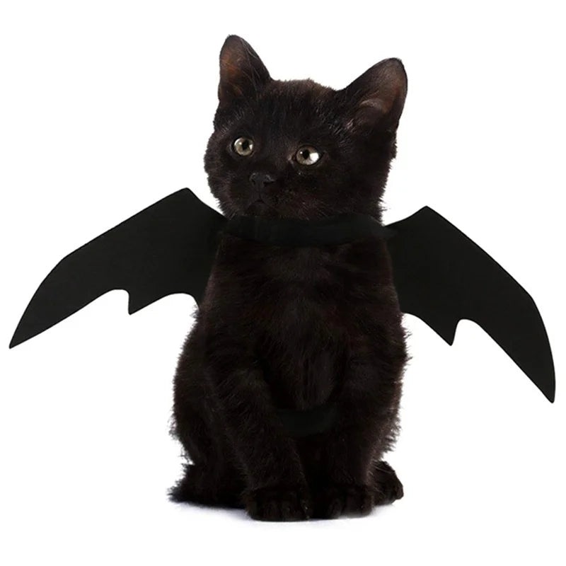 Bat Wings Costume, Small, Black Felt, for Dogs & Cats, Halloween Pet Apparel