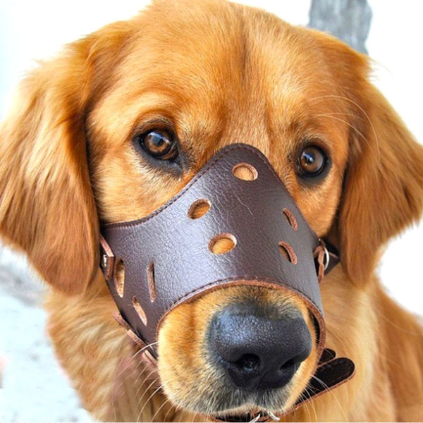 Dogs Anti-Biting Secure Adjustable Muzzle