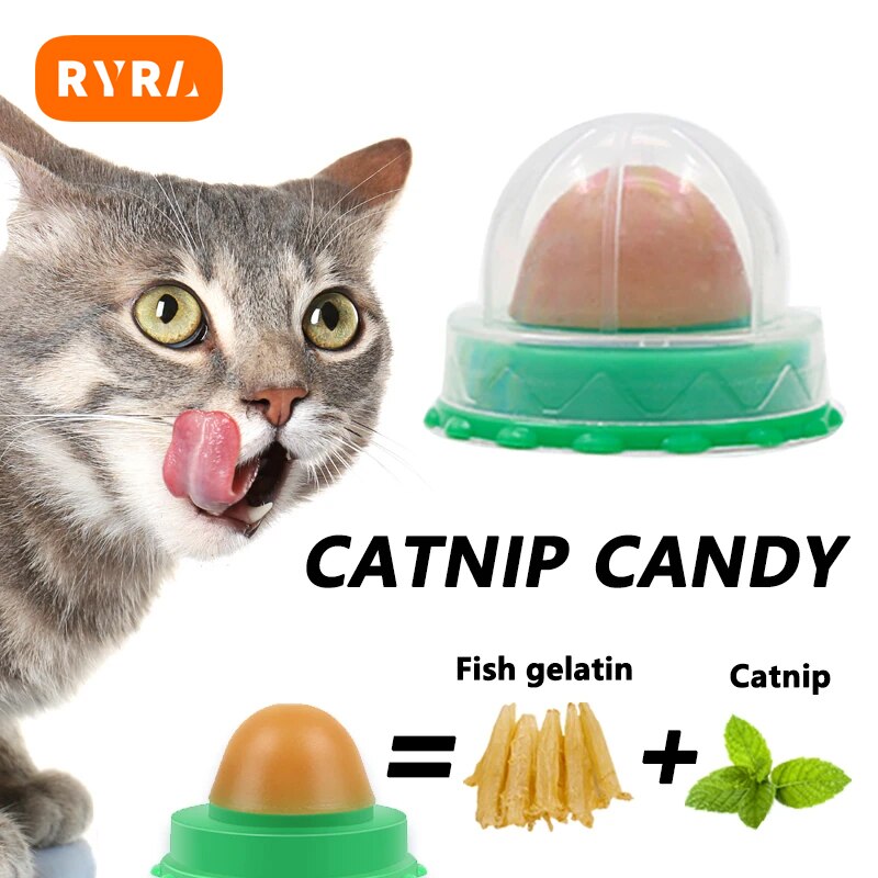 Pet Healthy Snack Ball Catnip