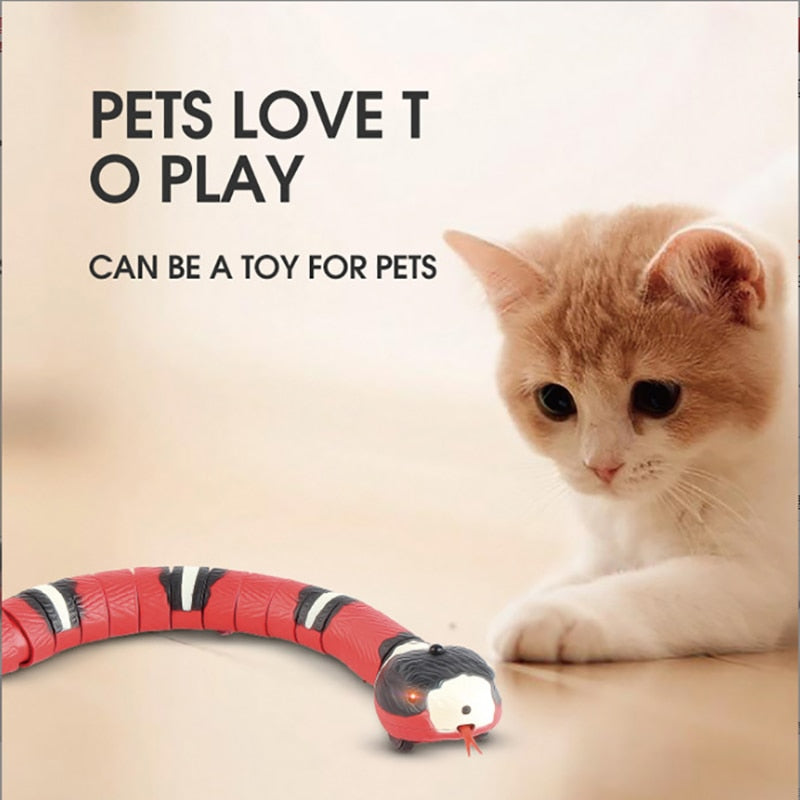 A curious orange and white kitten looks at a red toy snake with black and yellow stripes on the floor. The text reads 'Pets Love to Play - Can be a toy for pets,' emphasizing the toy's appeal for pet entertainment.