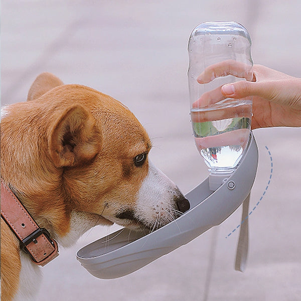 Dogs Kettle Drinker Portable Water Cup