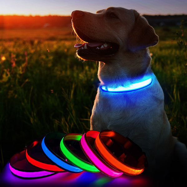 LED DOG COLLAR