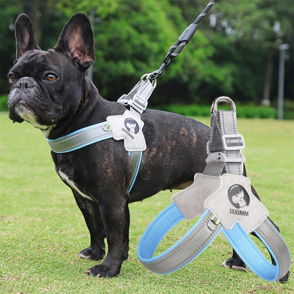 Dog Adjustable  Harness