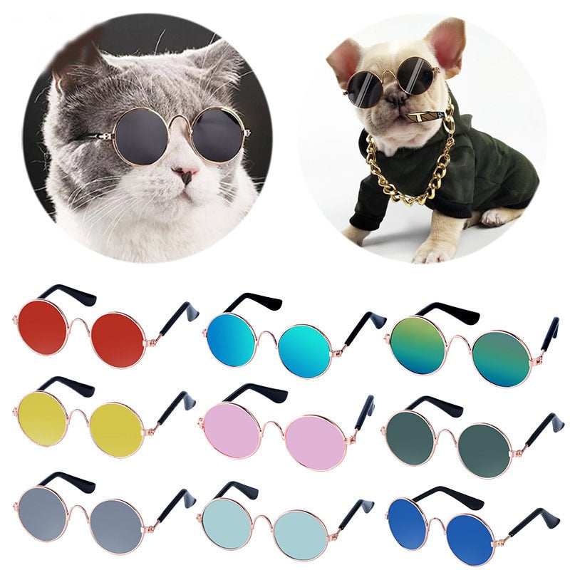 Pet Round Reflection EyeWear