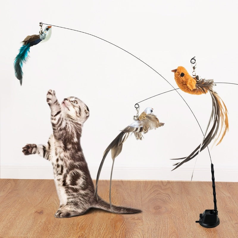 Kitten Hunting Exercise Toys